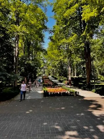 Piastowska アパート